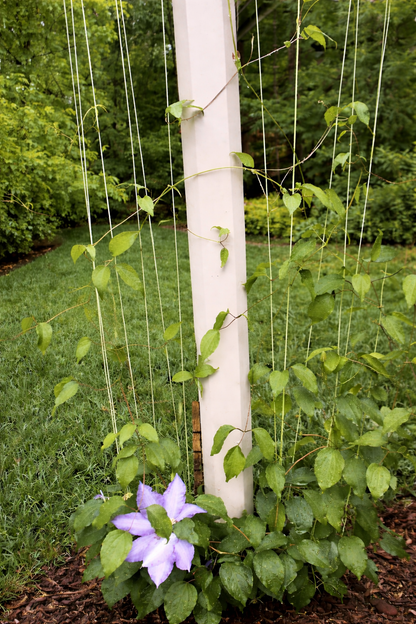 Garden Plant Trellis Rope Vertical Vine Guide Line System Coated Galvanized Wire